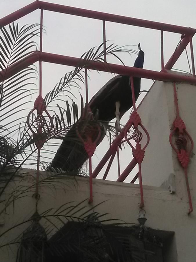 Jaypore House Bed & Breakfast New Delhi Bagian luar foto